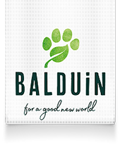 Balduin