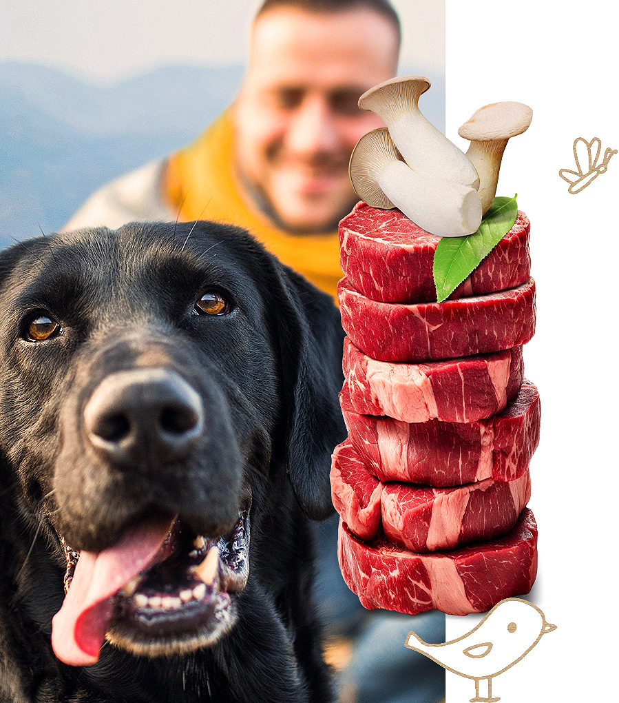 Balduin Tiernahrung - viel Fleisch, viel Nachhaltigkeit